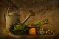 540 - GARDENER'S WORLD - WENTWORTH HARRY - united kingdom